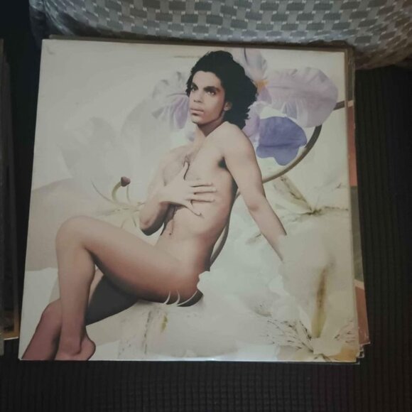 Albums - Picture 12 of 16